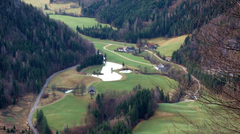 Südblick zum Lamberger Teich