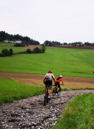 Neumarkt 117 (c) Kern Franz (4)