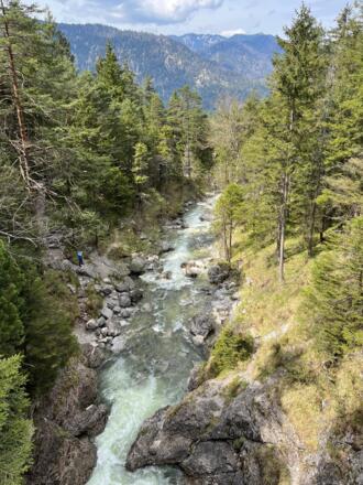 IMG_9951.jpeg
