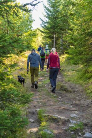 Auf dem Weg zum Siebensteinkopf