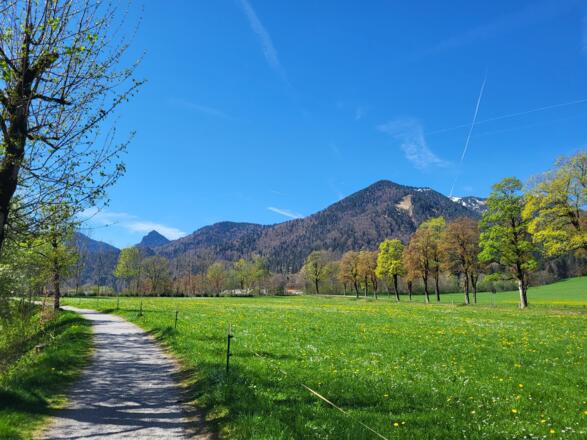Blick zum Hirschberg