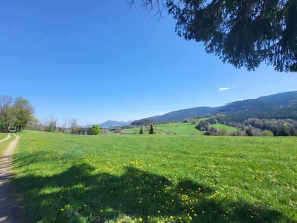 Gmund-Wies