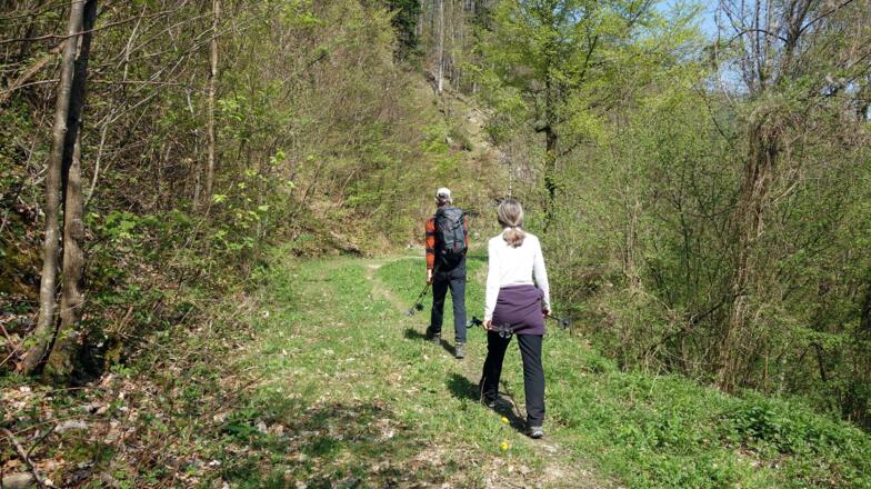 Forstweg um 750m erreicht, alle Schwierigkeiten geschafft!