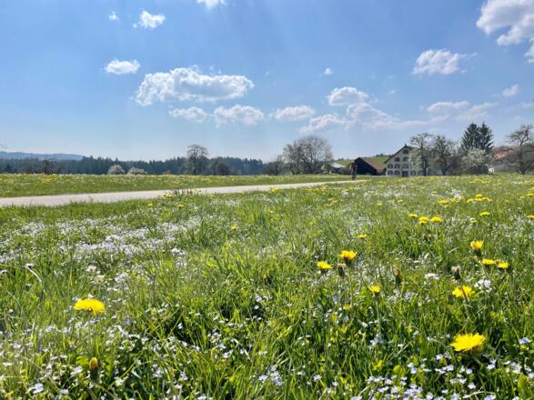 Blick auf Lengatz