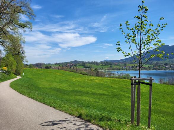 Kaltenbrunn am Tegernsee