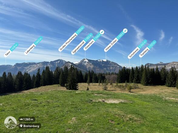 Gipfelpanaorama mit Blick in die Osterhorngruppe