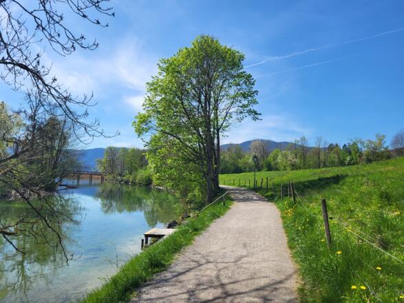 Mangfall bei Gmund