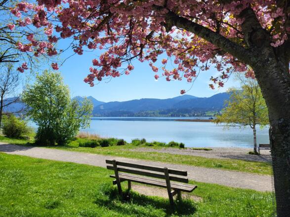 Seepromenade Gmund