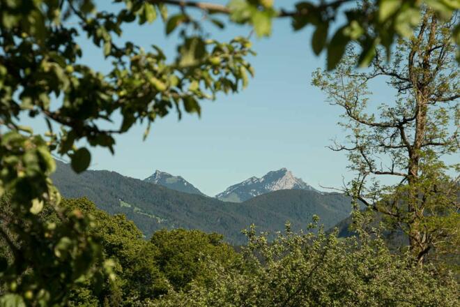 Die Berge zum Greifen nah