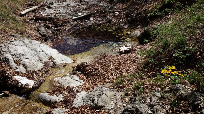 Wasserlauf queren ~970 m und kurz ansteigen.