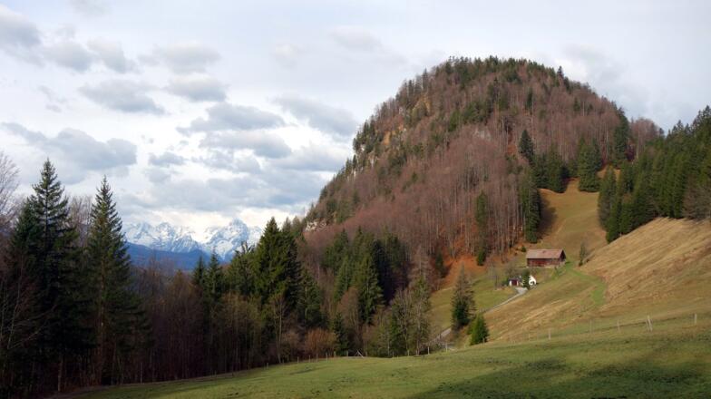 Blick zum Gipfelziel vom Almgebiet ~ 860m.