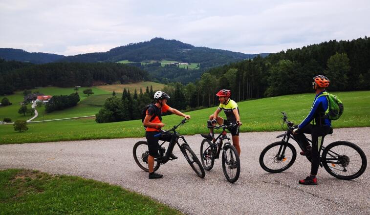 Neumarkt 117 (c) Kern Franz (7)