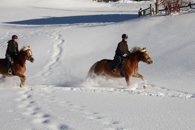 Sporthotel Pferde Ausritt im Schnee