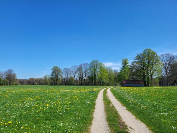 Festenbach, kurz vor der Mangfall