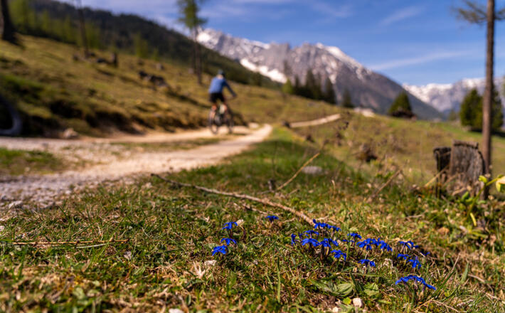 Für Räder freigegeben: Der Weg von Schapbach zur Stubenalm