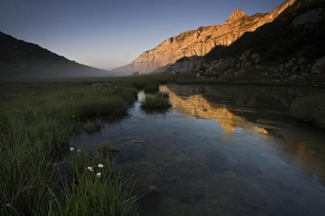 Blick auf den Sagzahn