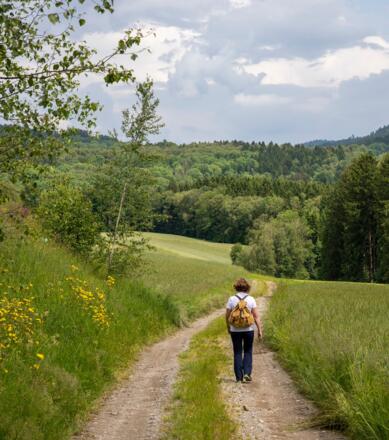 Steilstufenweg - kleine Runde