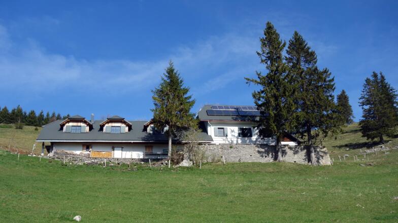 Bergwiese unter Gradnalm