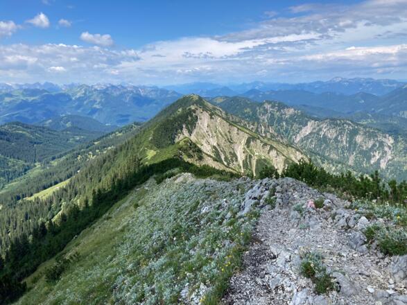 Blick über den Blaubergkamm