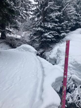 Idyllischer Winterweg zum Komperdell - Rosa Markierungsstange