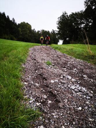 Neumarkt 117 (c) Kern Franz (3)