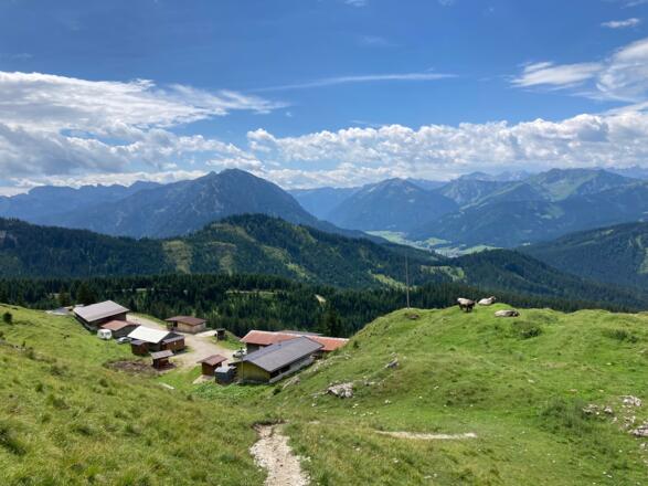 Blaubergalm