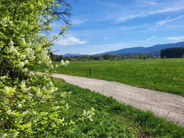 Richtung Festenbach