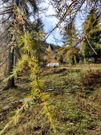 Die Alm liegt versteckt unterhalb der Wand des Spielbergs.