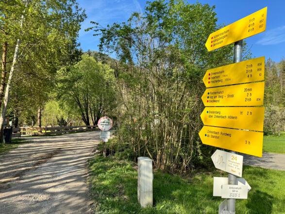 Start der Tour beim Arboretum