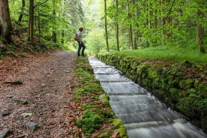 Steilstufenweg - kleine Runde