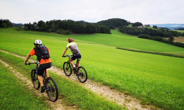 Neumarkt 117 (c) Kern Franz (6)