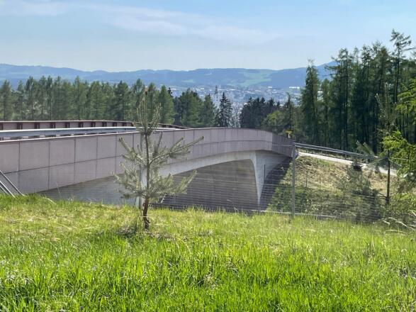 Blick auf Freistadt