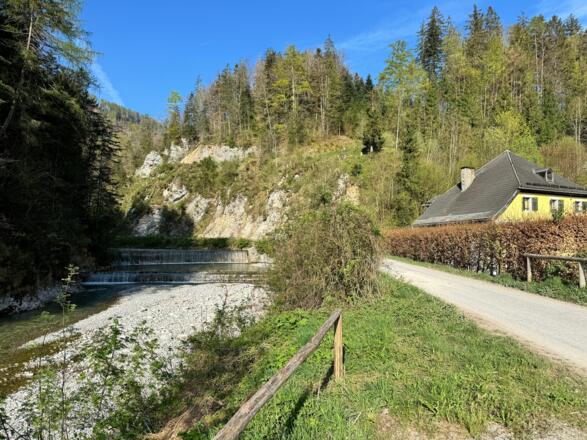 Am Zinkenbach entlang... links oben im Bild ist die Hochbrücke welche wir am Rückweg überqueren
