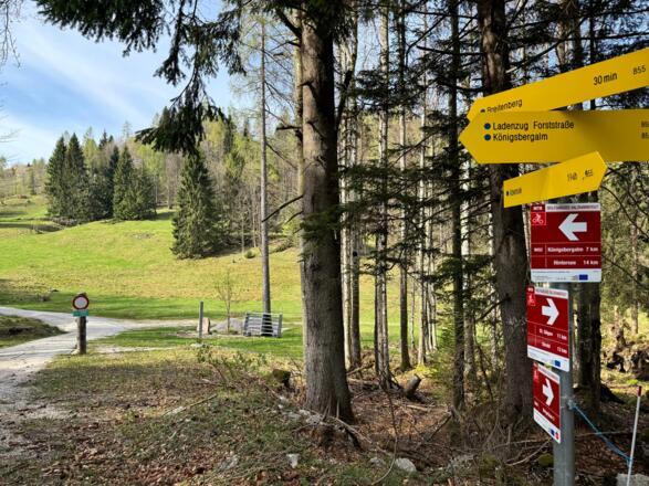 Weggabelung zum Breitenberg