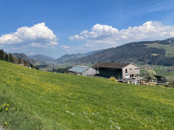 Anstieg nach Sulzberg