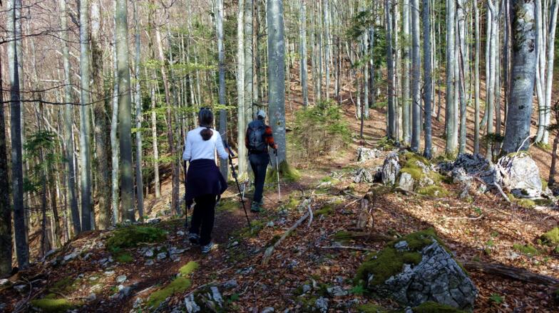Um 1000m wird es flacher, gelbe Ringe oder rote Punkte sind öfters zu sehen.