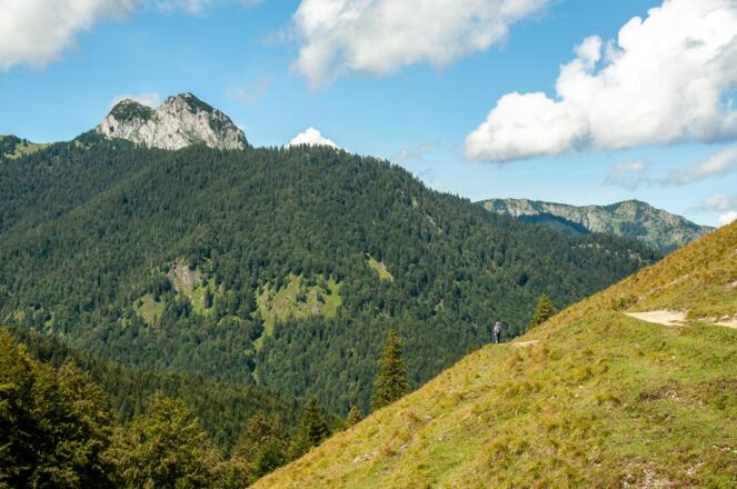 Weg zu Gaißalm