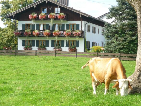Ihr Urlaubsdomizil