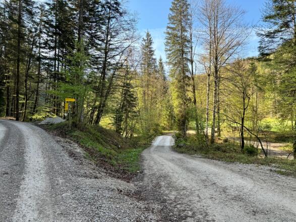 Weggabelung - Brücke über den Zinkenbach