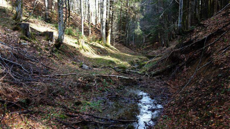 Weglose Abkürzung im Graben ~1045m bis ~970m