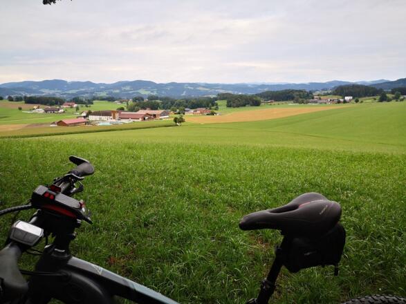 Neumarkt 117 (c) Kern Franz (5)