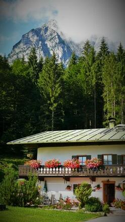 P1150146 (2) (360x640)