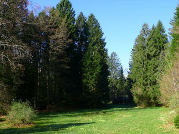 Großer parkartiger Garten