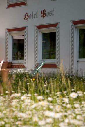 Margeriten im Juni auf der Terrasse