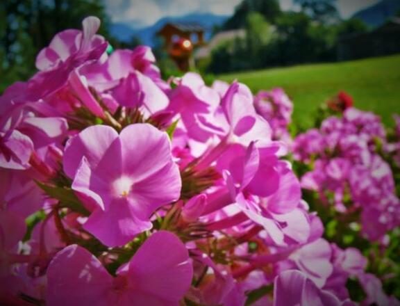 P1150159 (2) (640x489)