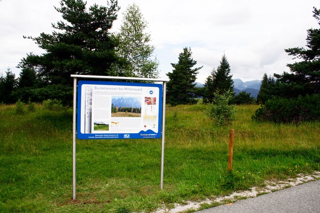 Infotafel an den Buckelwiesen