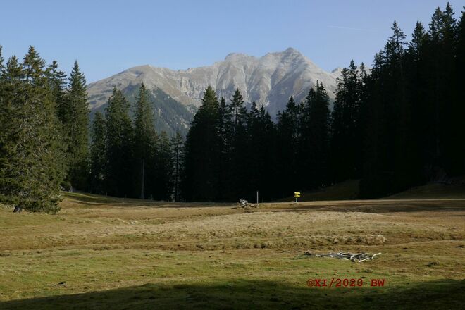 Wegkreuzung Rehberg 1610 m