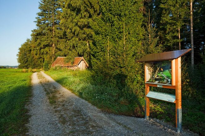 Schaukasten, Station 4
