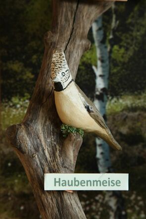 Haubenmeise