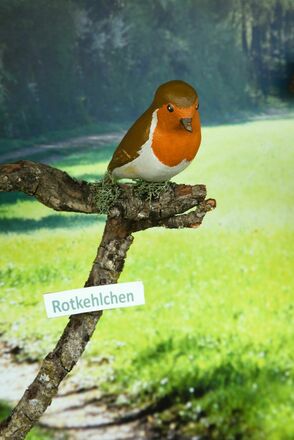 Rotkehlchen